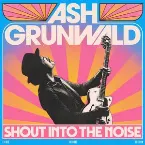 Pochette Shout Into the Noise