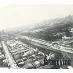 Pochette 羽根/JIVE