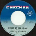Pochette Bring It On Home / Down Child