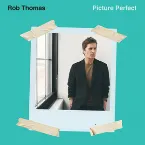 Pochette Picture Perfect