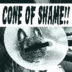 Pochette Cone of Shame
