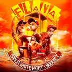 Pochette Flava