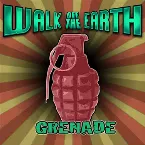 Pochette Grenade