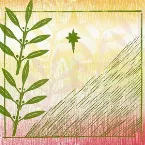 Pochette Gifts of Olive