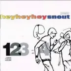 Pochette Hey Hey Hey