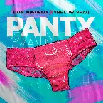 Pochette Panty