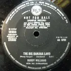 Pochette The Big Banana Land