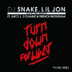 Pochette Turn Down for What (official remix)