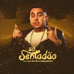 Pochette Só Sentadão