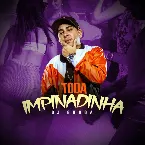 Pochette Toda Impinadinha