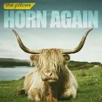 Pochette HORN AGAIN