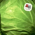 Pochette 何度でも