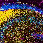 Pochette Intelligence artificielle