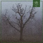 Pochette Misty Woods