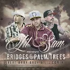Pochette Bridges & Palm Tress