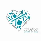 Pochette Wounds of Love