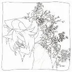 Pochette evaporation