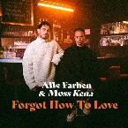 Pochette Forgot How to Love