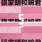 Pochette 张家明和婉君