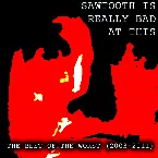 Pochette Sawtooth Is Really Bad at This - The Best of the Worst (2003-2011)