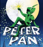 Pochette Peter Pan: Il musical