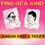 Pochette Two Of A Kind