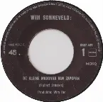Pochette De kleine Madonna van Zapopan