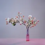 Pochette feelings are fatal (revisited)