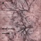 Pochette Saturate (Visla remix)