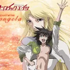 Pochette gravitation