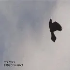 Pochette Birds Of Passage