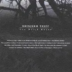 Pochette The Witch Haven