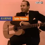 Pochette Flamenco!