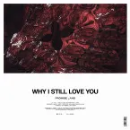 Pochette Why I Still Love You / In Dreams