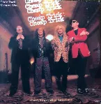 Pochette Can’t Stop Fallin’ Into Love