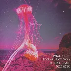 Pochette Live at Forest Limit 2022