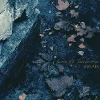 Pochette Leaves & Thunderstorms