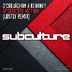 Pochette Restricted Motion (Lostly Remix)