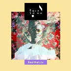 Pochette Aesthetics