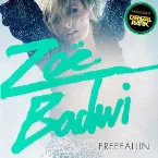 Pochette Freefallin'