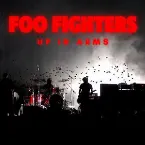 Pochette Up In Arms: Foo Fighters