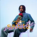 Pochette double luxury