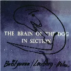 Pochette The Brain of the Dog in Section