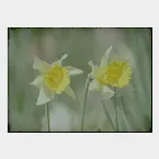 Pochette Simple as can be