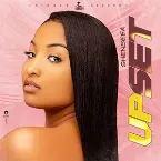 Pochette Upset