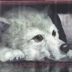 Pochette WOLF'S RAIN O.S.T. 2
