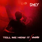 Pochette Tell Me How It Fells