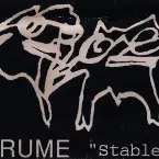 Pochette Stable