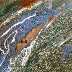 Pochette ミラクルレボリューション No.9