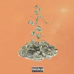Pochette Money